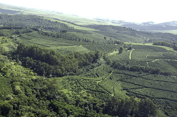 Brasil Fazenda Lagoa