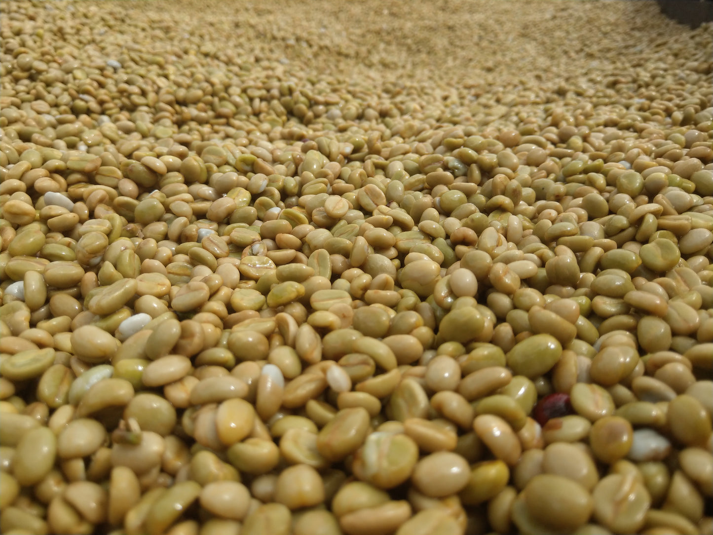 Kenya Nyeri Ndurutu