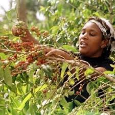 Kenya Nyeri Ndurutu