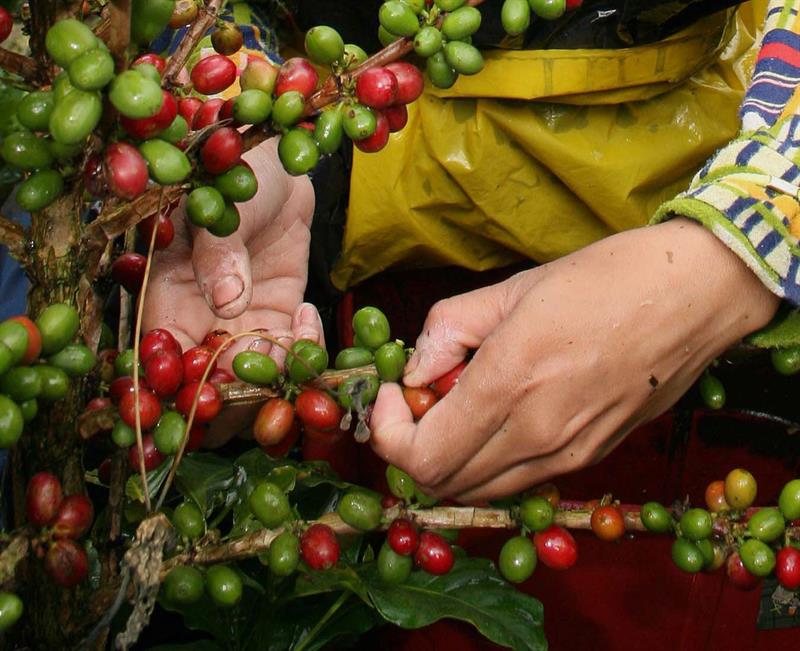 Brasil Fazenda Lagoa