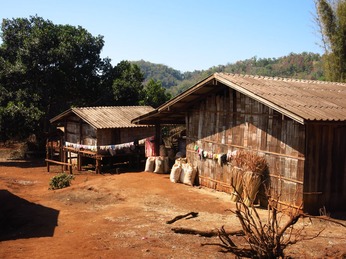 Thailand Pang Khon