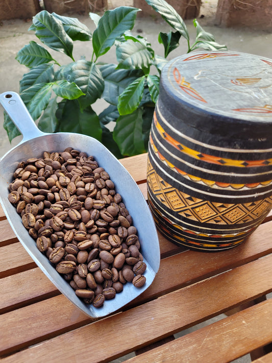 Sulawesi Kopi Kalossi Toraja