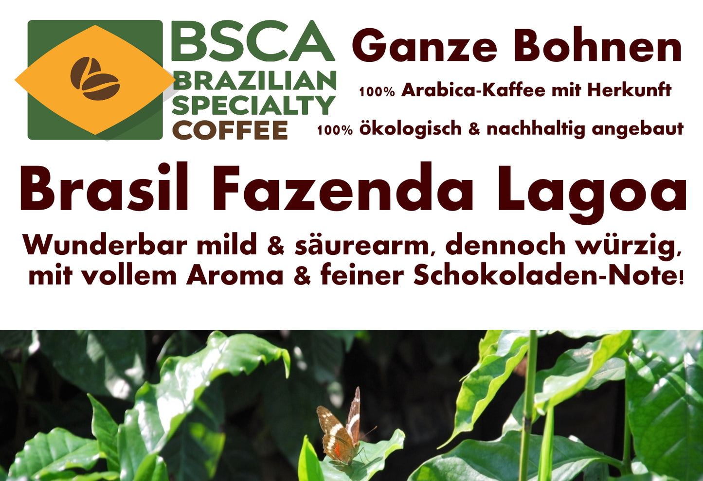Brasil Fazenda Lagoa