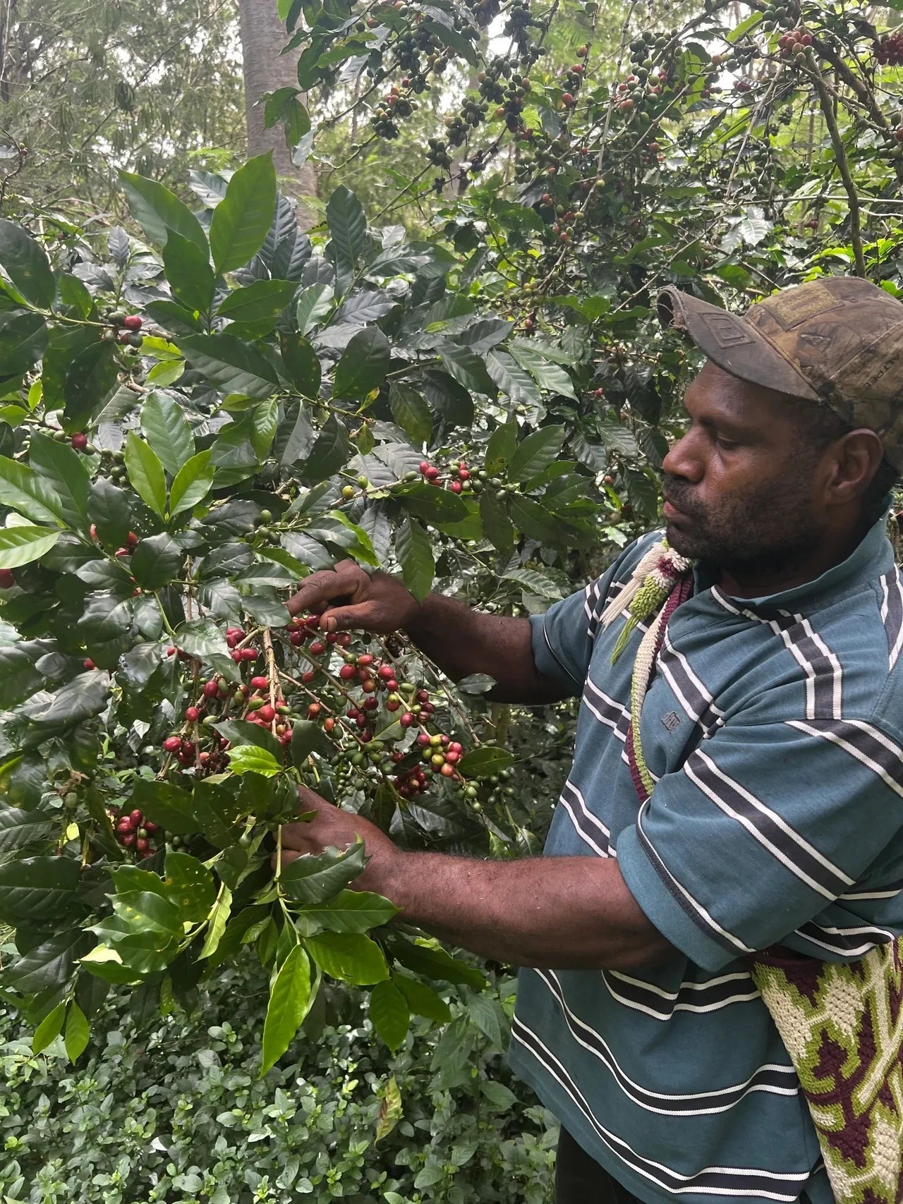 Murumbu Papua Neuguinea