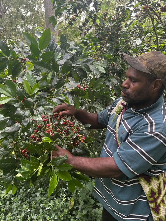 Murumbu Papua Neuguinea